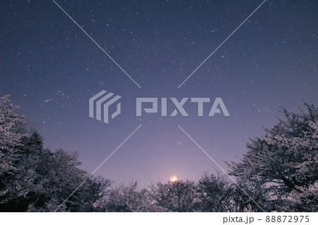 桜と月と冬の星座 桜と月と冬の星座 88872975