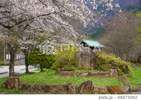 桜咲く栃尾温泉の荒神之足湯 88873002