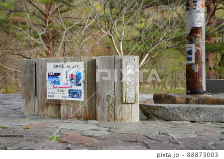 桜咲く栃尾温泉の荒神之足湯 88873003
