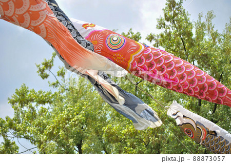 世田谷区宇奈根にある次太夫堀公園民家園の鯉のぼりと、武者絵のぼり 88873057