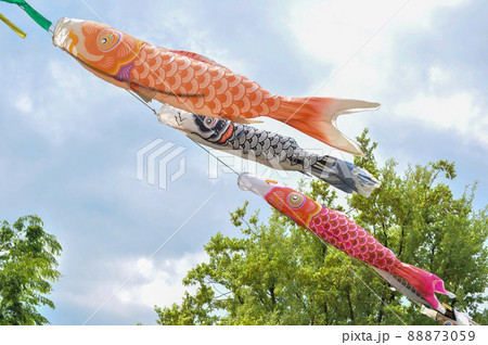 世田谷区宇奈根にある次太夫堀公園民家園の鯉のぼりと、武者絵のぼり 世田谷区宇奈根にある次太夫堀公園民家園の鯉のぼりと、武者絵のぼり 88873059