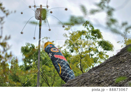 世田谷区宇奈根にある次太夫堀公園民家園の鯉のぼりと、武者絵のぼり 88873067