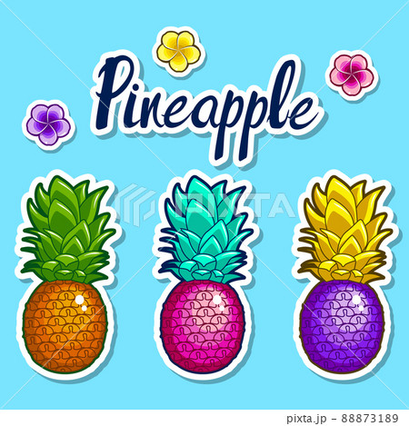 Pineapples and flowers. Set of bright stickers. Pineapples and flowers. Set of bright stickers. 88873189