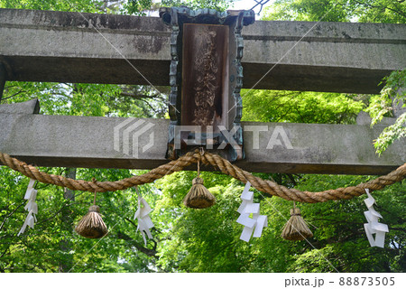 穴織宮　伊居太神社石鳥居-4 88873505