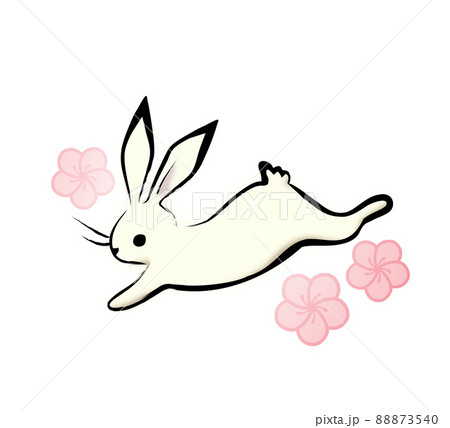 ウサギ　梅 88873540