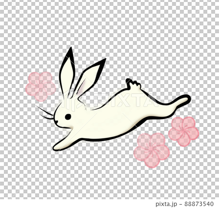 Rabbit plum Rabbit plum 88873540