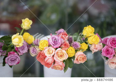 Roses of multi colors display in a florist shop Roses of multi colors display in a florist shop 88874486