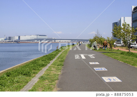 キングスカイフロント　多摩川川辺の散策路 88875053