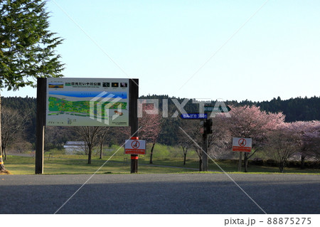 春の日光だいや川公園/栃木県日光市 春の日光だいや川公園/栃木県日光市 88875275