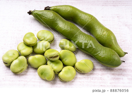 そら豆 そら豆 88876056