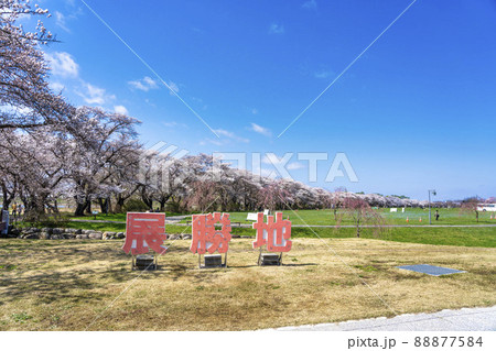 北上市立公園「展勝地」(北上展勝地)の桜並木 岩手県北上市 北上市立公園「展勝地」(北上展勝地)の桜並木 岩手県北上市 88877584