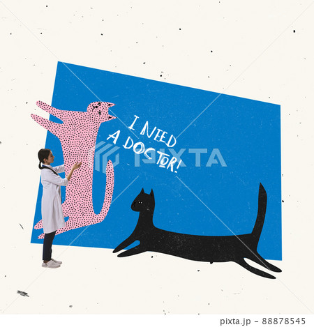 Contemporray art collage. Vet clinic. Young woman, vet doctor helping domestic animals, taking care after health 88878545