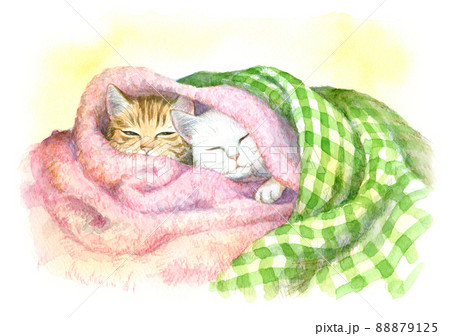 毛布にくるまる2匹の猫のイラスト素材