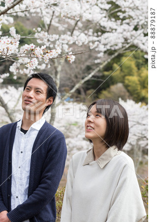 桜の花を見上げる男女 88879187