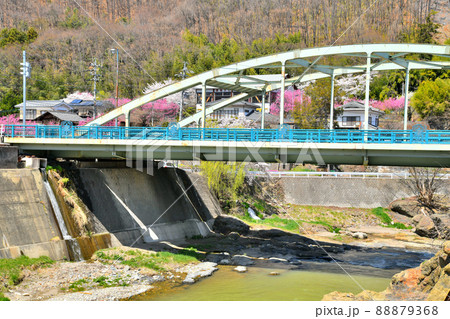 腰越橋/依田川を上流側より望む(長野県上田市)【2022.4】 腰越橋/依田川を上流側より望む(長野県上田市)【2022.4】 88879368