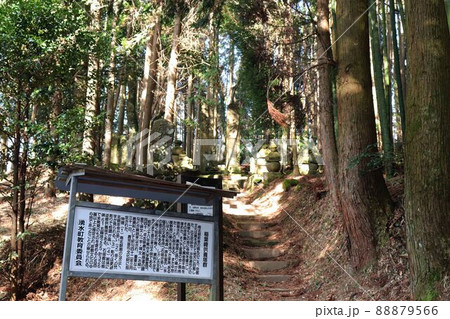 姶良郡 稲葉崎供養塔群 姶良郡 稲葉崎供養塔群 88879566