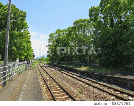 晴れた日の線路と木々 晴れた日の線路と木々 88879761