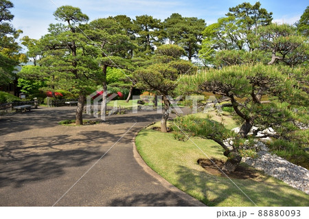 紅葉山庭園（駿府城公園）220419pm3:08 88880093