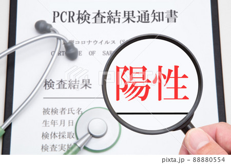 PCR検査結果　陽性　イメージ 88880554