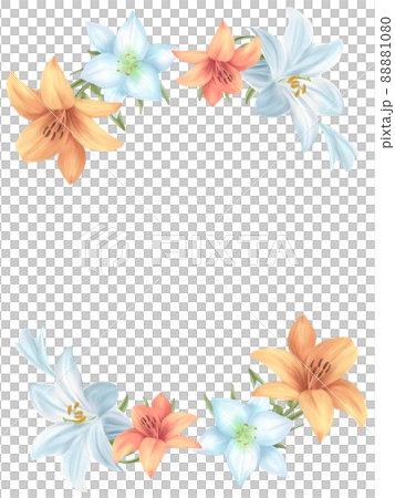 ユリの花 水彩フレーム背景のイラスト素材 [88881080] - PIXTA