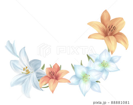 ユリの花 水彩フレーム背景のイラスト素材 1081