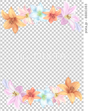 ユリの花 水彩フレーム背景のイラスト素材 [88881083] - PIXTA