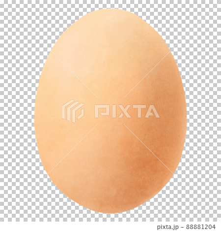 Egg 88881204