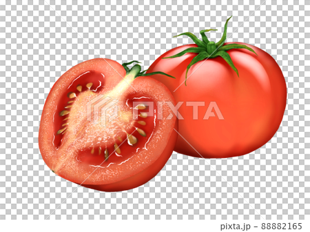 トマト 断面 ホール 野菜 トマト 断面 ホール 野菜 88882165