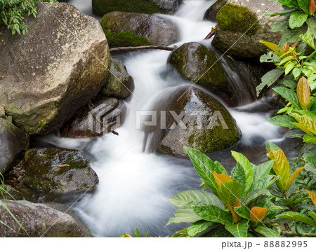 Green moss on stones on a river in the very green forrest with small waterfall. Green moss on stones on a river in the very green forrest with small waterfall. 88882995