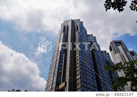 夏空と東京都庁 88883147