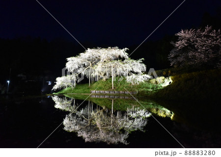中島の地蔵桜 中島の地蔵桜 88883280