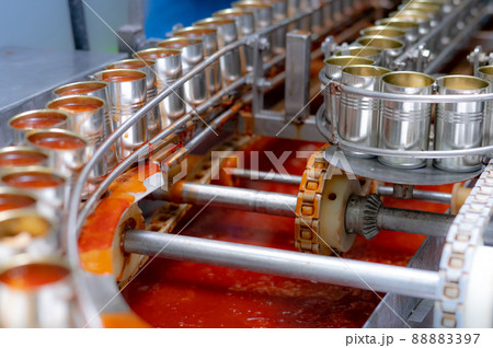 Canned fish factory. Food industry.  Sardines in red tomato sauce in tinned cans at food factory. Food processing production line. Food manufacturing industry. Many can of sardines on a conveyor belt. 88883397
