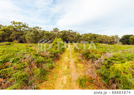 Two Bays Walking Track in Australia 88883874