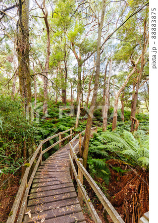 Two Bays Walking Track in Australia Two Bays Walking Track in Australia 88883875