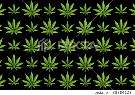 Marijuana leaf or cannabis leaf weed pattern Marijuana leaf or cannabis leaf weed pattern 88884123