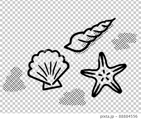貝殻のイメージイラスト　モノクロ 88884556