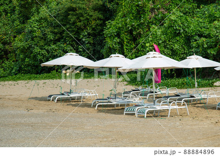 ビーチに並ぶパラソルとリクライニングチェア 88884896