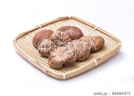 椎茸　原木椎茸　原木しいたけ　生シイタケ　自然栽培　生椎茸 88884975