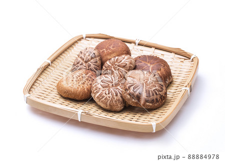 椎茸 原木椎茸 原木しいたけ 生シイタケ 自然栽培 生椎茸 椎茸 原木椎茸 原木しいたけ 生シイタケ 自然栽培 生椎茸 88884978