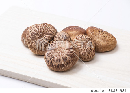 椎茸　原木椎茸　原木しいたけ　生シイタケ　自然栽培 88884981