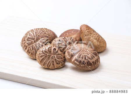 椎茸　原木椎茸　原木しいたけ　生シイタケ　自然栽培 88884983