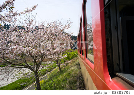 いすみ鉄道の国鉄形気動車キハ52・キハ28急行列車からの車窓　桜と菜の花の春から新緑の季節へ変わる頃 88885705