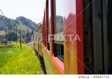 いすみ鉄道の国鉄形気動車キハ52・キハ28急行列車からの車窓 桜と菜の花の春から新緑の季節へ変わる頃 いすみ鉄道の国鉄形気動車キハ52・キハ28急行列車からの車窓 桜と菜の花の春から新緑の季節へ変わる頃 88885719