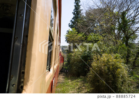 いすみ鉄道の国鉄形気動車キハ52・キハ28急行列車からの車窓 桜と菜の花の春から新緑の季節へ変わる頃 いすみ鉄道の国鉄形気動車キハ52・キハ28急行列車からの車窓 桜と菜の花の春から新緑の季節へ変わる頃 88885724