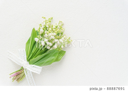 すずらんのブーケ　ホワイト背景 88887691