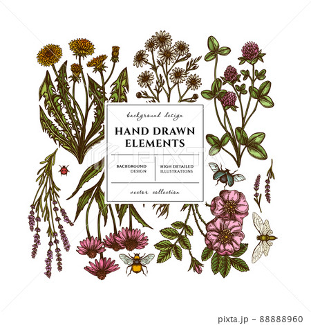 Tea herbs square card or invitation design. Frame design with chamomile, cinnamon rose, etc. 88888960
