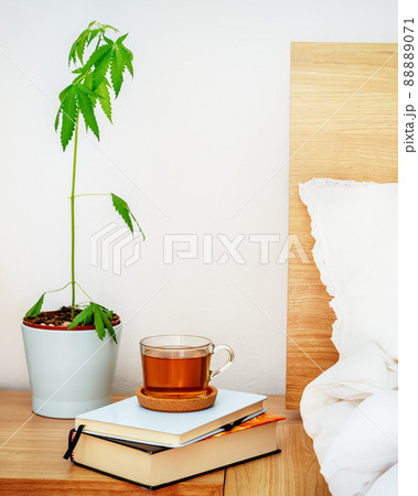 Plant and hemp tea in the bedroom 88889071