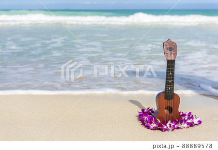 Ukulele and lei flower necklace on Hawaii beach. Hawaiian travel icons for tourism vacation background Ukulele and lei flower necklace on Hawaii beach. Hawaiian travel icons for tourism vacation background 88889578