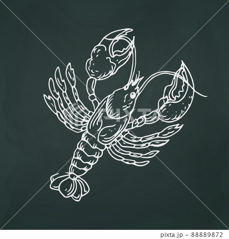 Crayfish thin white lines on a textural dark background - Vector 88889872