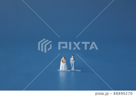 結婚式のイメージ画像（新郎・新婦・親族・友人） 88890270